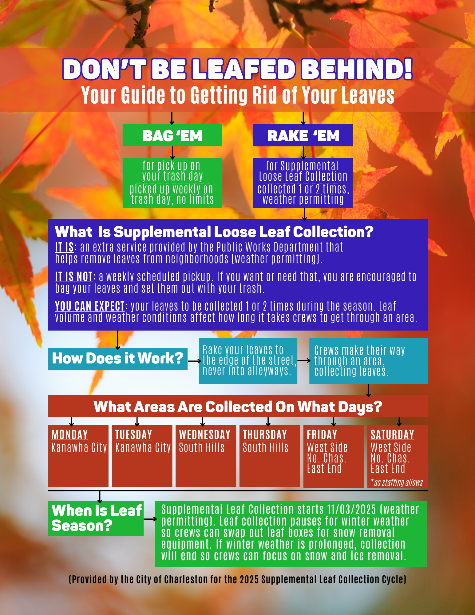 Don't Be Leafed Behind infographic explaining the information included in the press release